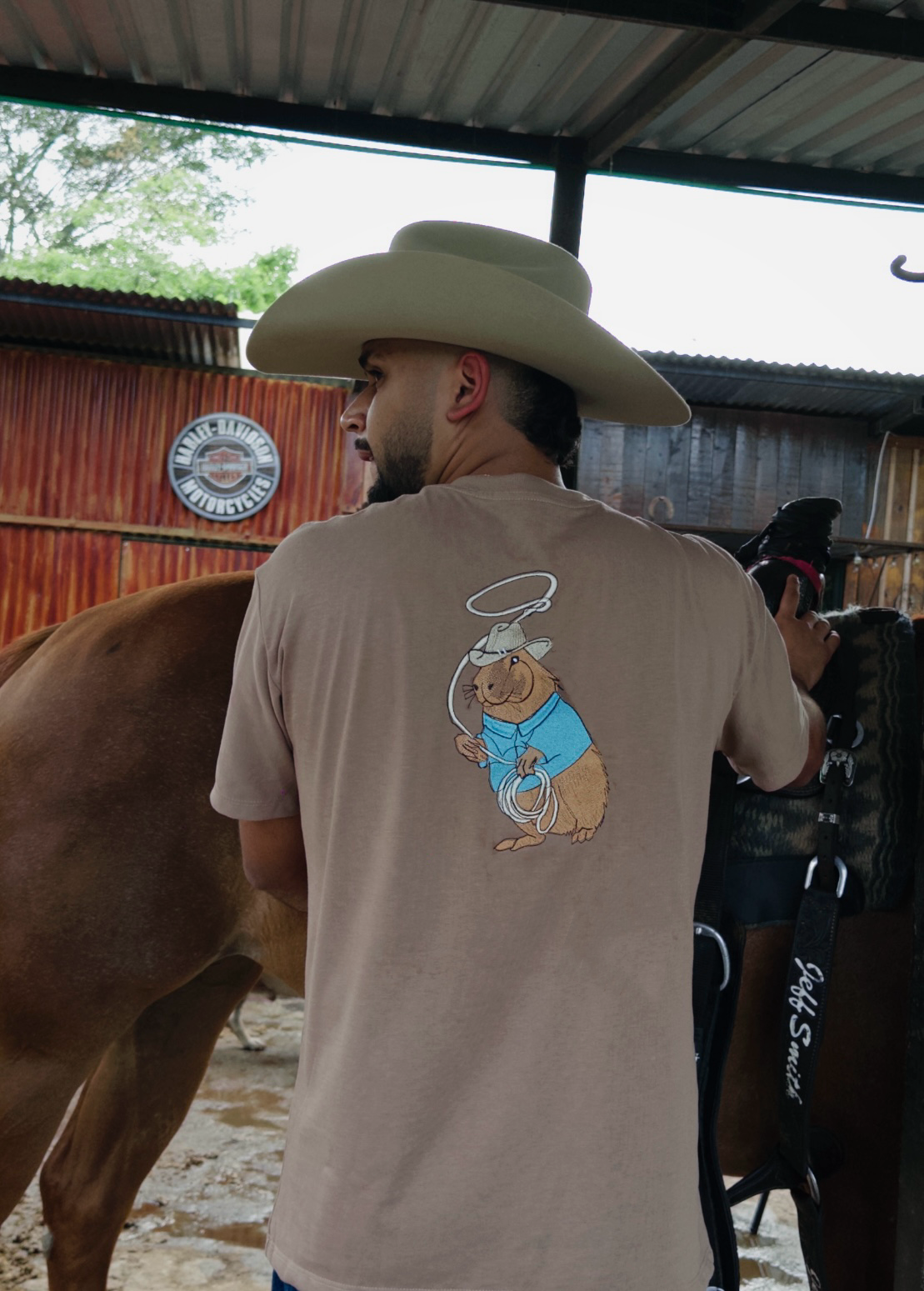 CAMISETA TOFFE LAZO