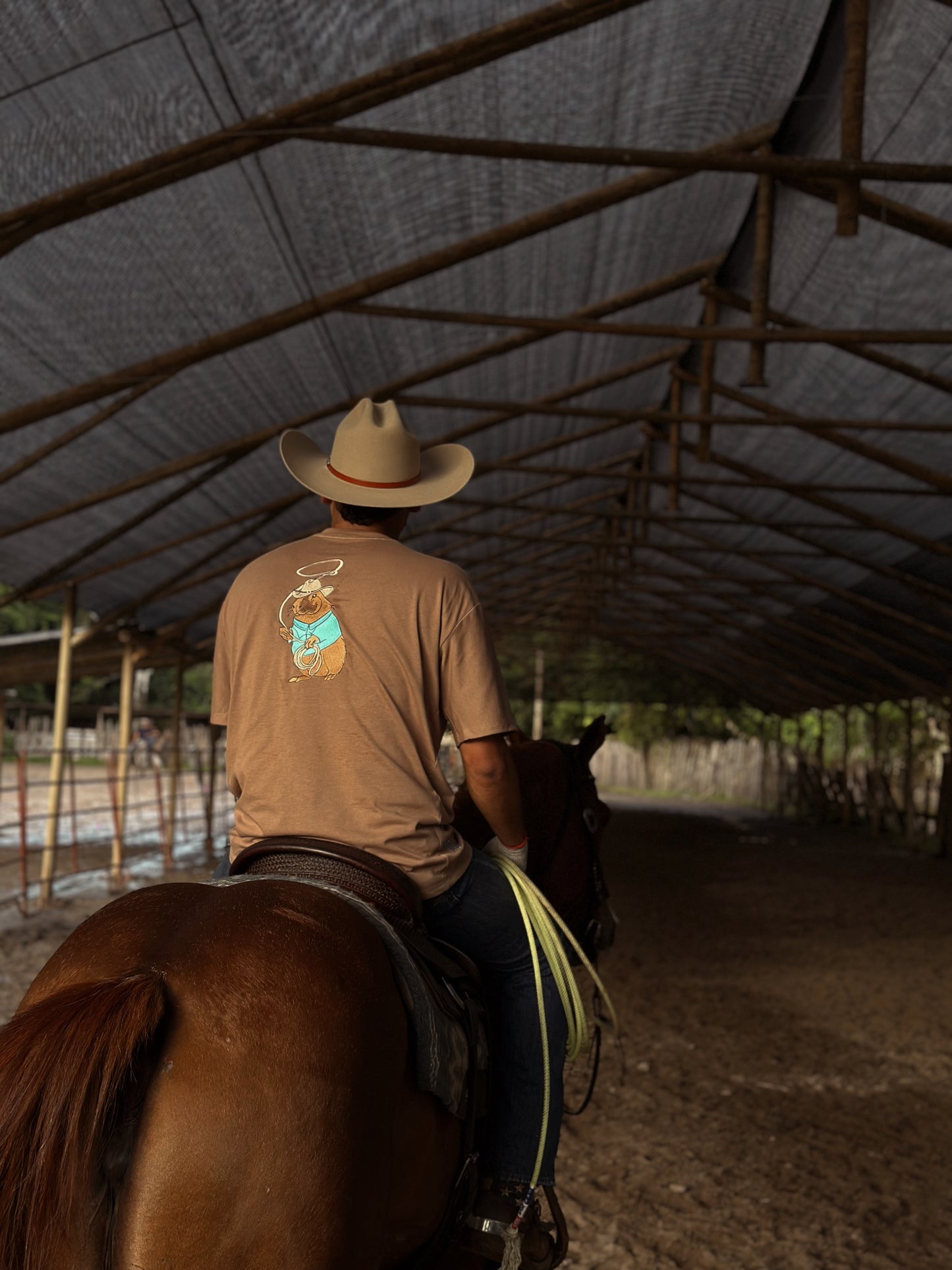 CAMISETA TOFFE LAZO