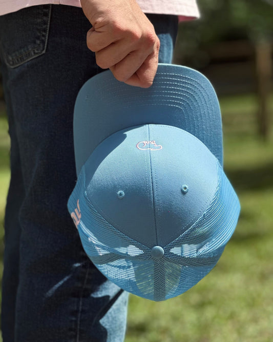 GORRA AZUL CHIGÜIRO ROSA