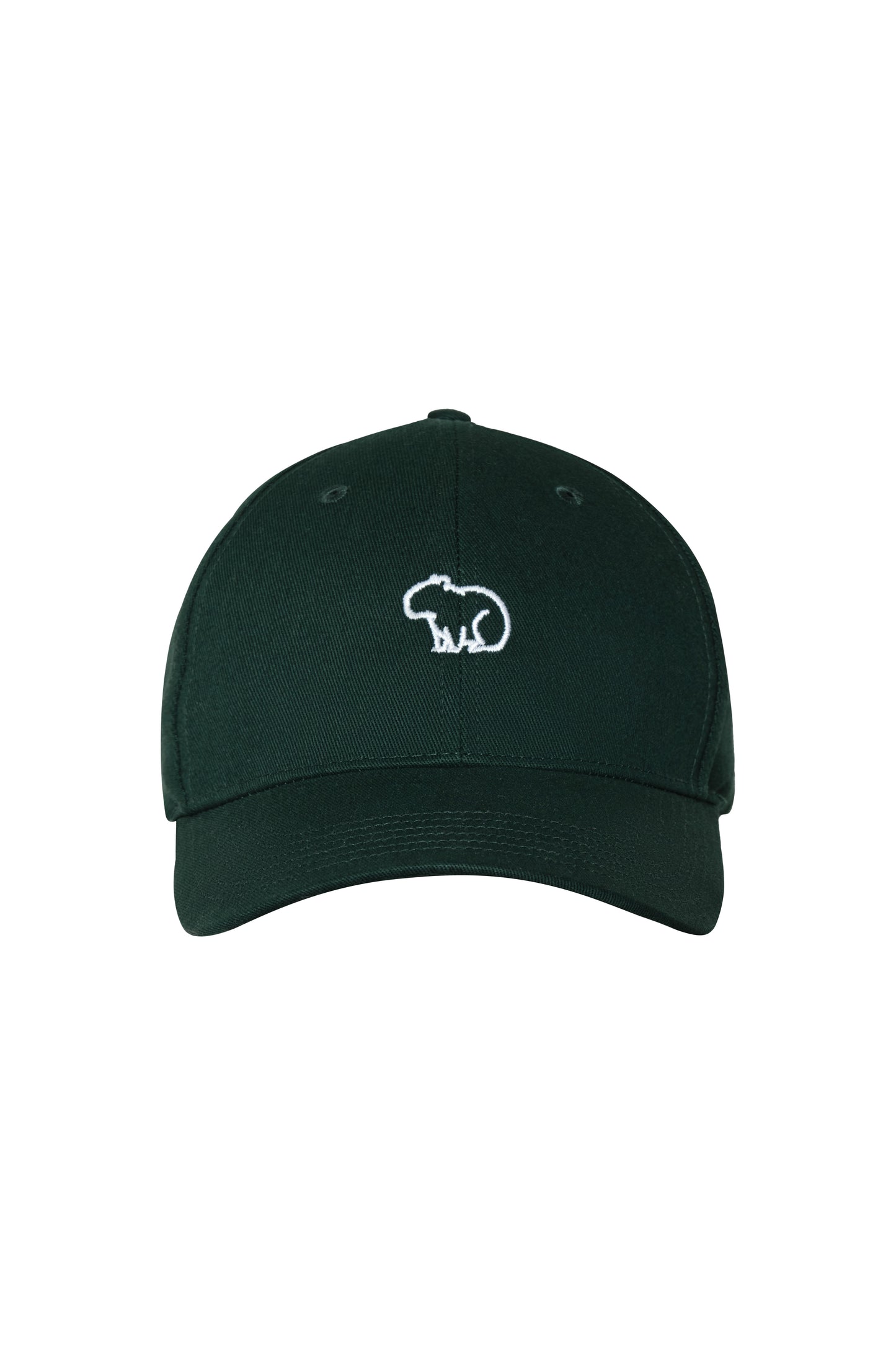 GORRA VERDE CHIGUIRO