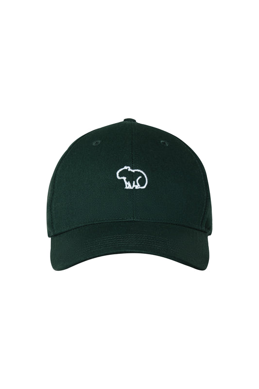 GORRA VERDE CHIGUIRO