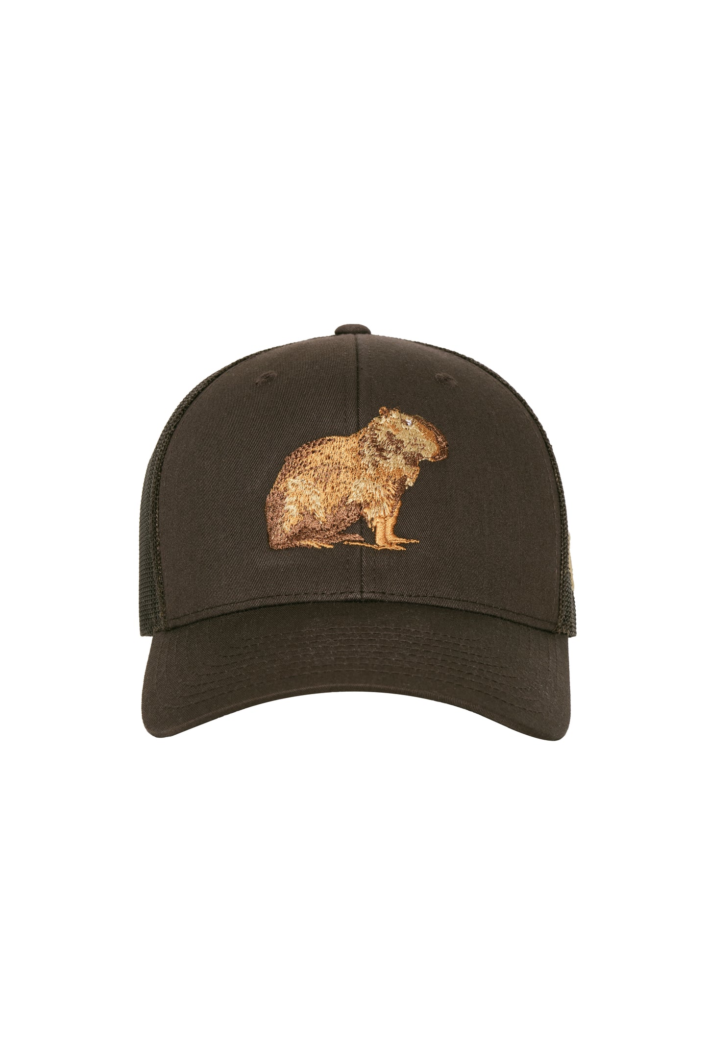 GORRA CAFÉ CHIGÜIRO