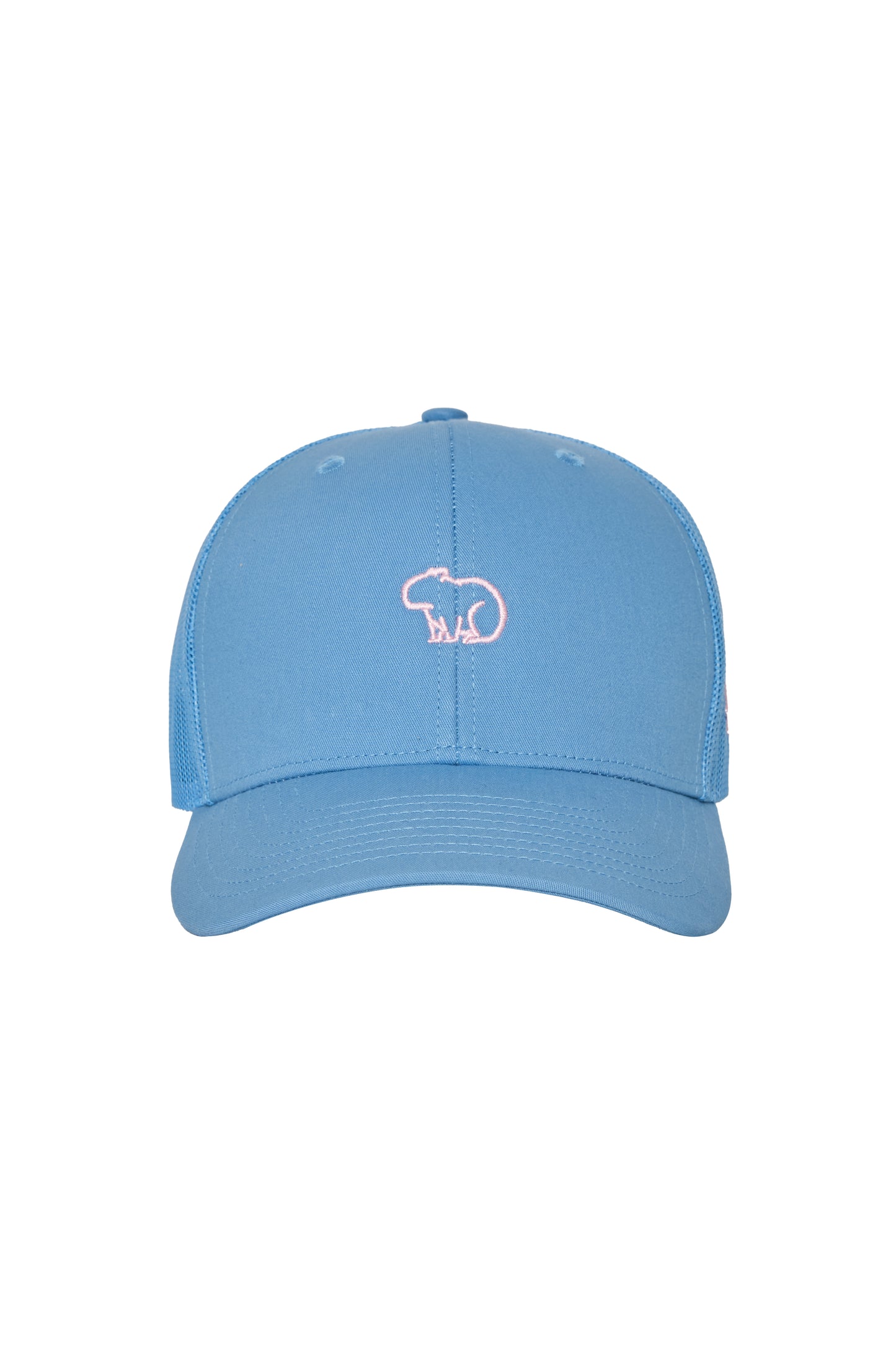 GORRA AZUL CHIGÜIRO ROSA