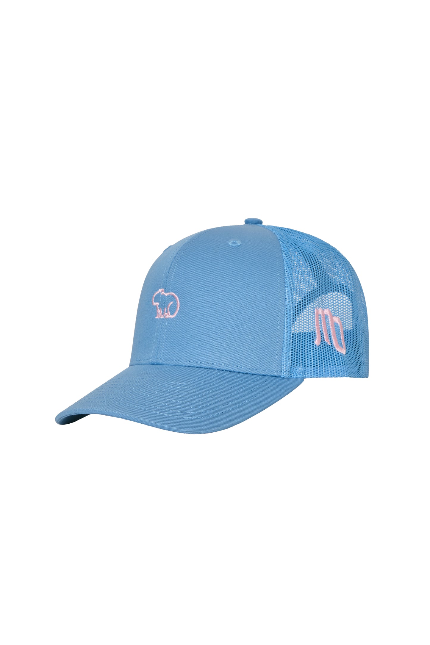 GORRA AZUL CHIGÜIRO ROSA