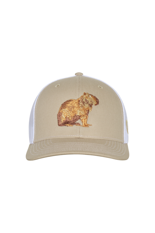 GORRA ARENA CHIGÜIRO