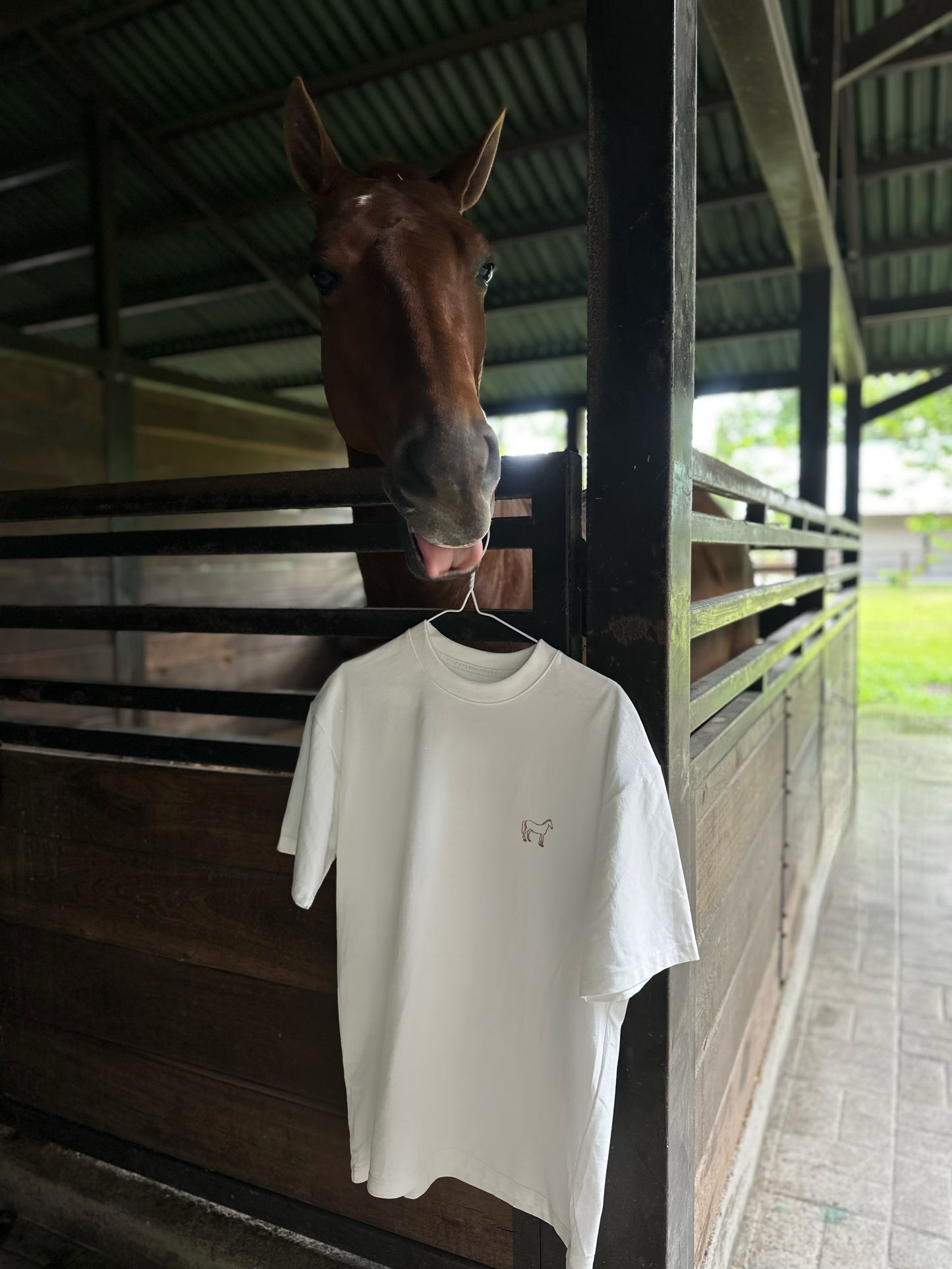 CAMISETA IVORY CABALLO COBRE